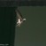Little Swift